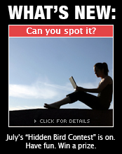 What Is New: Can you spot it?