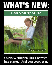 What Is New: Can you spot it?